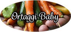 Baby vegetables Baby vegetables