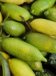 finger lime confezione 100 gr